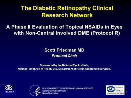 The Diabetic Retinopathy Clinical Research Network