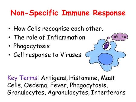 Non-Specific Immune Response How Cells recognise each other. The role of Inflammation Phagocytosis Cell response to Viruses Key Terms: Antigens, Histamine,