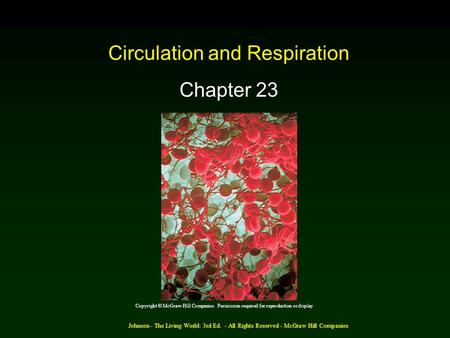 Johnson - The Living World: 3rd Ed. - All Rights Reserved - McGraw Hill Companies Circulation and Respiration Chapter 23 Copyright © McGraw-Hill Companies.