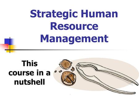 Strategic Human Resource Management