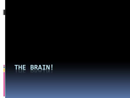 Your brain is the most complex, mind-blowing organ in the Universe.