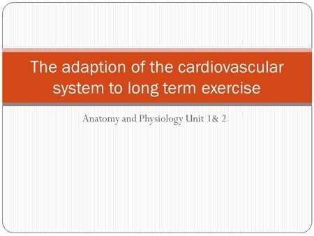 The adaption of the cardiovascular system to long term exercise