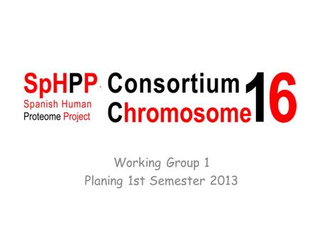 Working Group 1 Planing 1st Semester 2013. Planing Overview General Plan Tasks Description Deliverables: 1st Semester 2013 WG1: Recruiting Groups.