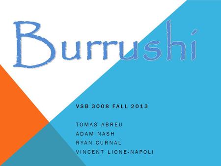 VSB 3008 FALL 2013 TOMAS ABREU ADAM NASH RYAN CURNAL VINCENT LIONE-NAPOLI.