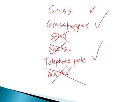 Cells  Section 1 – Microscope  Section 2 – Prokaryotic and Eukaryotic cells, cell membrane  Section 3 – Cell organelles.