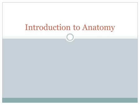 Introduction to Anatomy