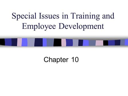 Special Issues in Training and Employee Development