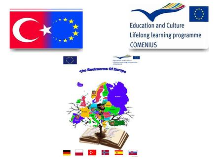 Evaluation of the Reading Habits survey 137 students (5th,6th,7th,8th grades) of Mersin 3 Ocak Secondary School answered the questionaire.