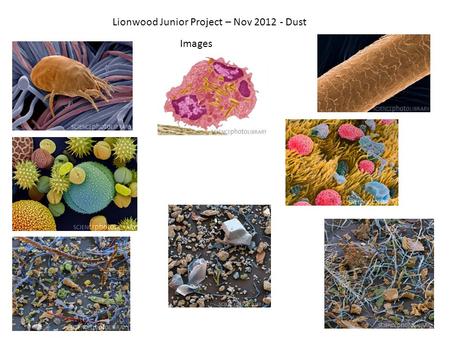 Lionwood Junior Project – Nov 2012 - Dust Images.