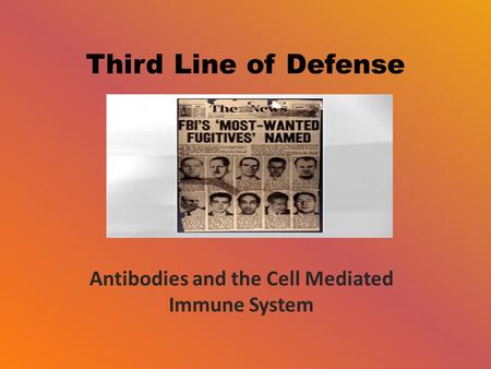 Third Line of Defense Antibodies and the Cell Mediated Immune System.