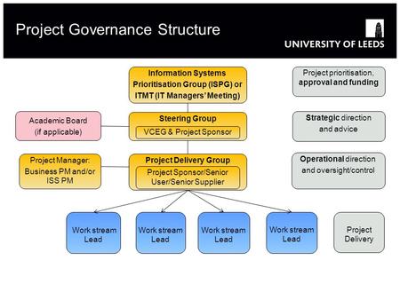 Project Governance Structure