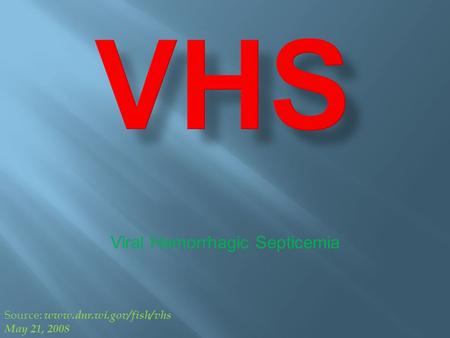 Viral Hemorrhagic Septicemia Source: www.dnr.wi.gov/fish/vhs May 21, 2008.