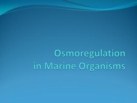 Introduction Homeostasis Thermal regulation hormones – endocrine system Enzymes osmoregulatory processes Occasionally marine organisms just “pick up and.