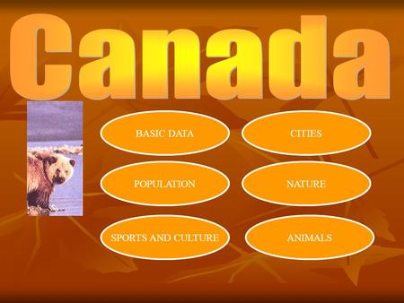 BASIC DATA POPULATION SPORTS AND CULTUREANIMALS NATURE CITIES.