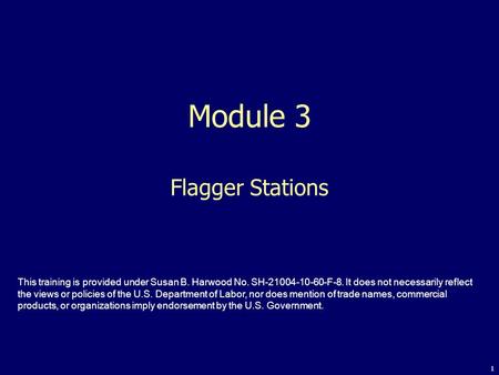 Module 3 Flagger Stations