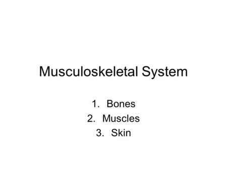 Musculoskeletal System