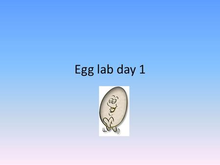 Egg lab day 1. Demonstration & Vocabulary In journal, make a title: ‘Diffusion Demonstration’ & draw the two flasks as shown below. START FINISH.