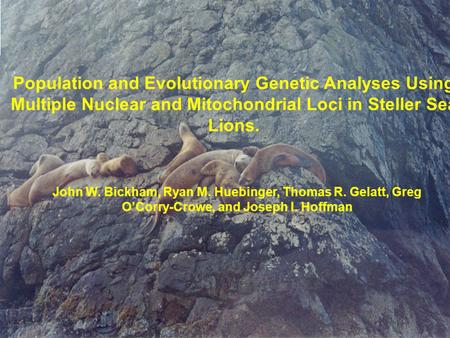 Population and Evolutionary Genetic Analyses Using Multiple Nuclear and Mitochondrial Loci in Steller Sea Lions. John W. Bickham, Ryan M. Huebinger, Thomas.