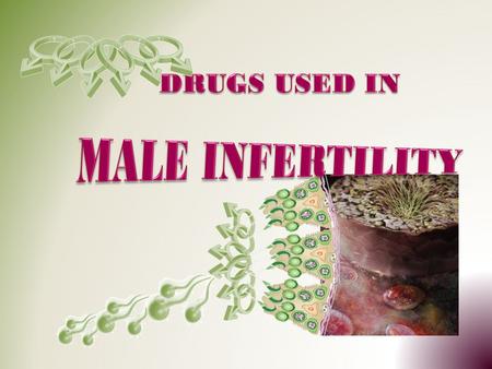 By the end of this lecture you will be able to: Define male infertility Recognize regulations contributing to male fertility & dysregulations leading.