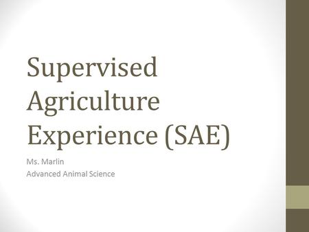 Supervised Agriculture Experience (SAE) Ms. Marlin Advanced Animal Science.