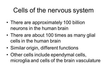 Cells of the nervous system There are approximately 100 billion neurons in the human brain There are about 100 times as many glial cells in the human brain.