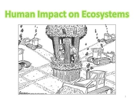 Human Impact on Ecosystems