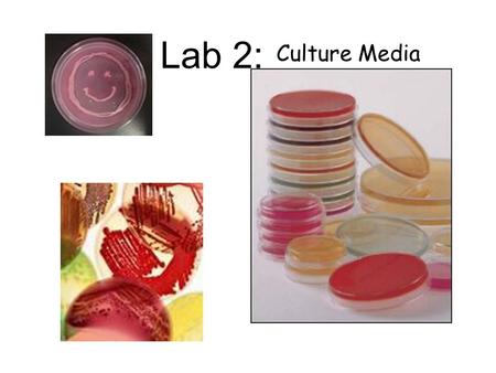 Culture Media Lab 2:.