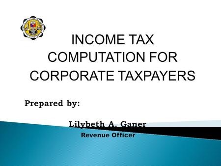 Prepared by: Lilybeth A. Ganer Revenue Officer