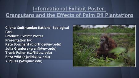 Informational Exhibit Poster: Orangutans and the Effects of Palm Oil Plantations Client: Smithsonian National Zoological Park Product: Exhibit Poster Presentation.