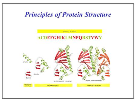 Principles of Protein Structure