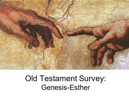 Old Testament Survey: Genesis-Esther. Leviticus Altar at tel Dan.