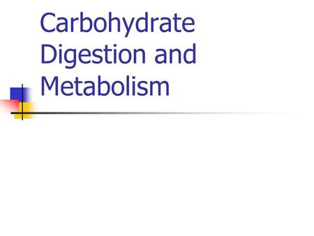 Carbohydrate Digestion and Metabolism