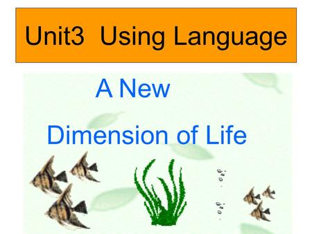 Unit3 Using Language A New Dimension of Life. where can you go to see the ocean life? on a boat tour at an aquarium on a snorkelling trip.