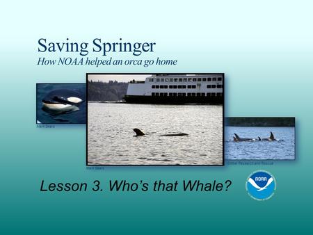 Saving Springer How NOAA helped an orca go home