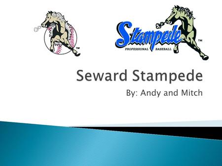 By: Andy and Mitch.  Seward Stampede  Semi-Professional baseball team  Competitive in Class A.