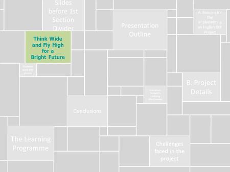 Think Wide and Fly High for a Bright Future Slides before 1st Section Divider Presentation Outline A. Reasons for the implementing an English QEF Project.