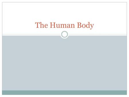 The Human Body.