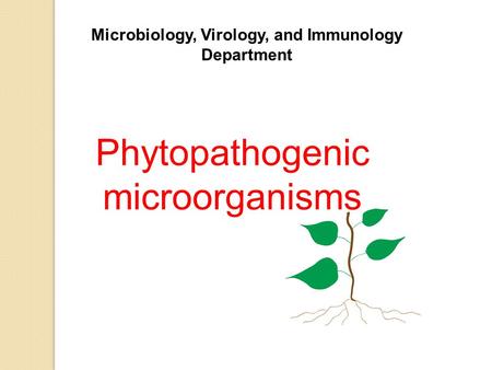 Microbiology, Virology, and Immunology Department