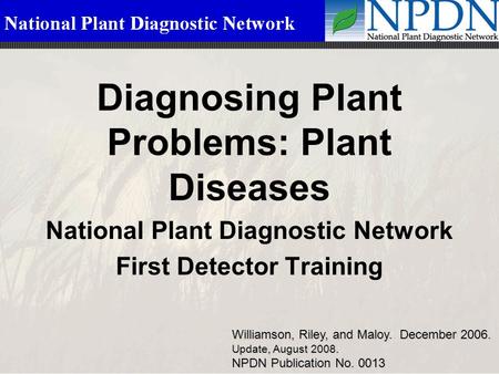 Diagnosing Plant Problems: Plant Diseases