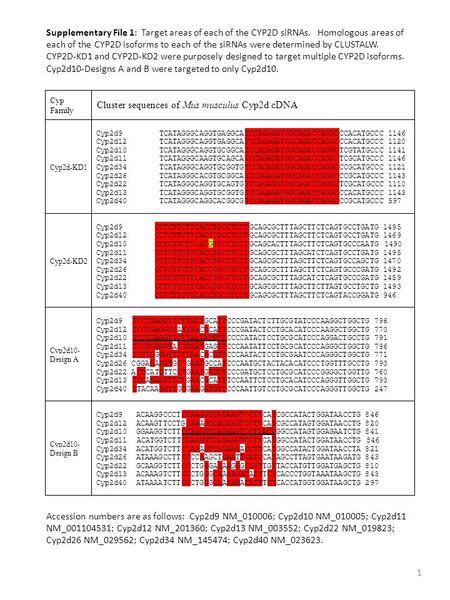 Supplementary File 1: Target areas of each of the CYP2D siRNAs. Homologous areas of each of the CYP2D isoforms to each of the siRNAs were determined by.