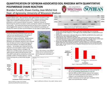 QUANTIFICATION OF SOYBEAN-ASSOCIATED SOIL RHIZOBIA WITH QUANTITATIVE POLYMERASE CHAIN REACTION Branden Furseth, Shawn Conley, Jean-Michel Ané Dept. of.