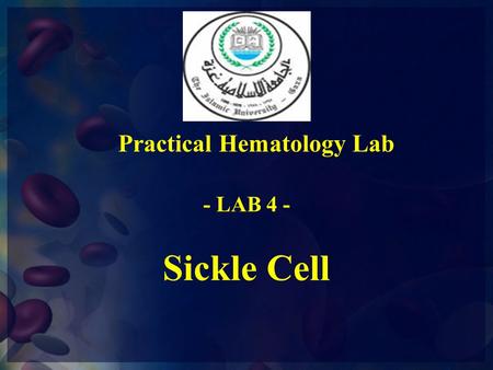 Practical Hematology Lab