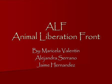 ALF Animal Liberation Front By: Maricela Valentin Alejandra Serrano Jaime Hernandez.