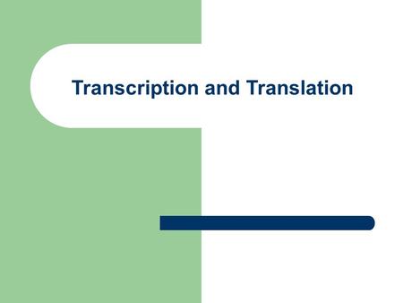 Transcription and Translation