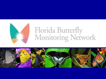 To initiate a statewide citizen scientist monitoring network to survey the health of butterfly populations on select protected land areas encompassing.