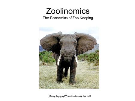 Zoolinomics The Economics of Zoo Keeping