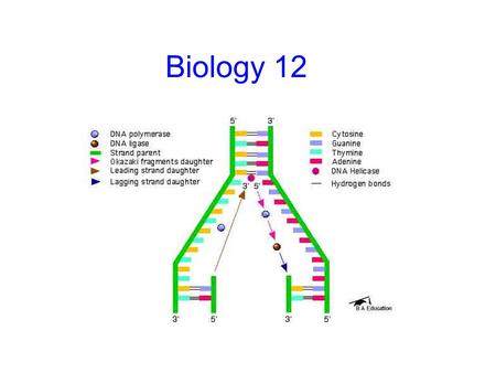 Biology 12.