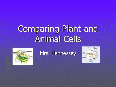 Comparing Plant and Animal Cells