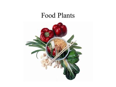 Food Plants. New Food From Old Aztec threshing Amaranth – Florentine Codex – 16 th Century.