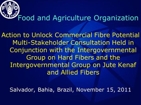 Food and Agriculture Organization 1 Action to Unlock Commercial Fibre Potential Multi-Stakeholder Consultation Held in Conjunction with the Intergovernmental.